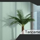 habitación y ventana